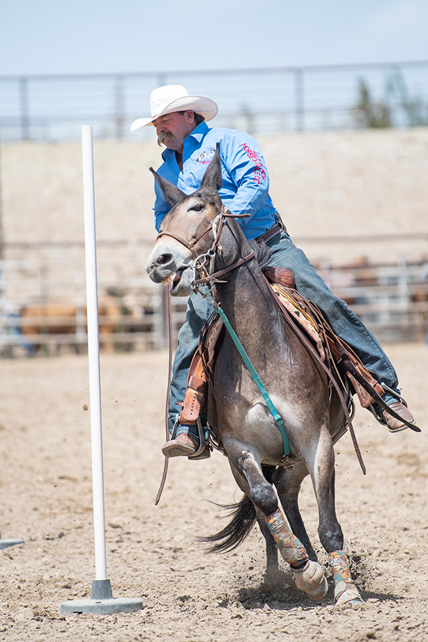 Mark Bailey of Malvern, Arkansas, makes his way through the poles during pole bending at Saturday’s rodeo.