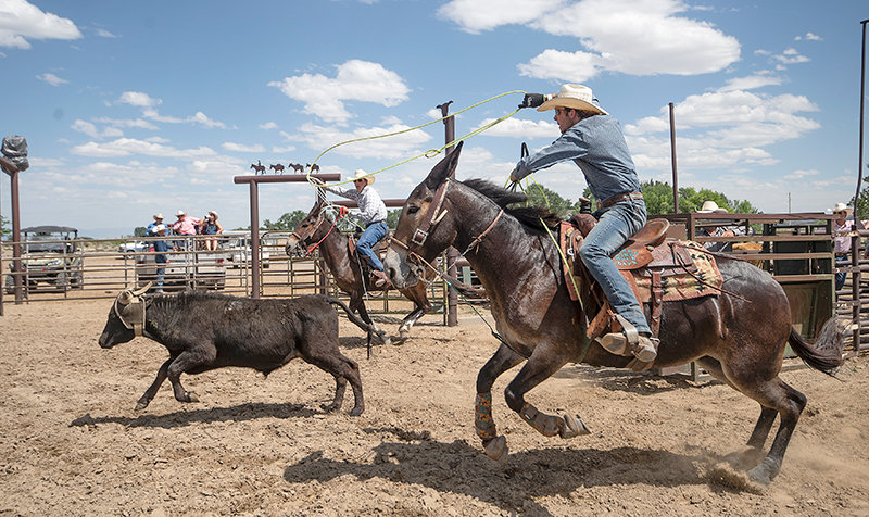Team ropers Easton Bowers and Nathan Ruth earned a check for second place on this run at Jake Clark’s Mule Days rodeo Saturday. The team were on The Wild Bunch Mule Company’s mules Daphne and Radar.