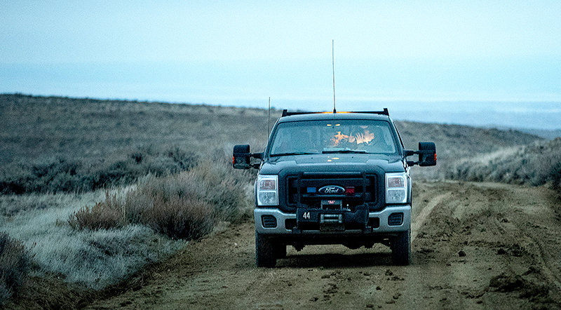 Former Powell-area Wyoming Game and Fish Department game warden Chris Queen looks for sage grouse in his company truck on rutted roads in Elk Basin. Game wardens are notoriously tough on trucks as they cover thousands of miles a year on backcountry ‘roads’ while on the job.