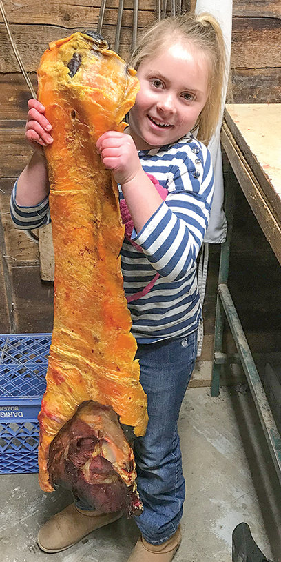 Charlee Muecke helps in the family’s private butcher shop while they process a bison shot by her father Ryan in 2020.