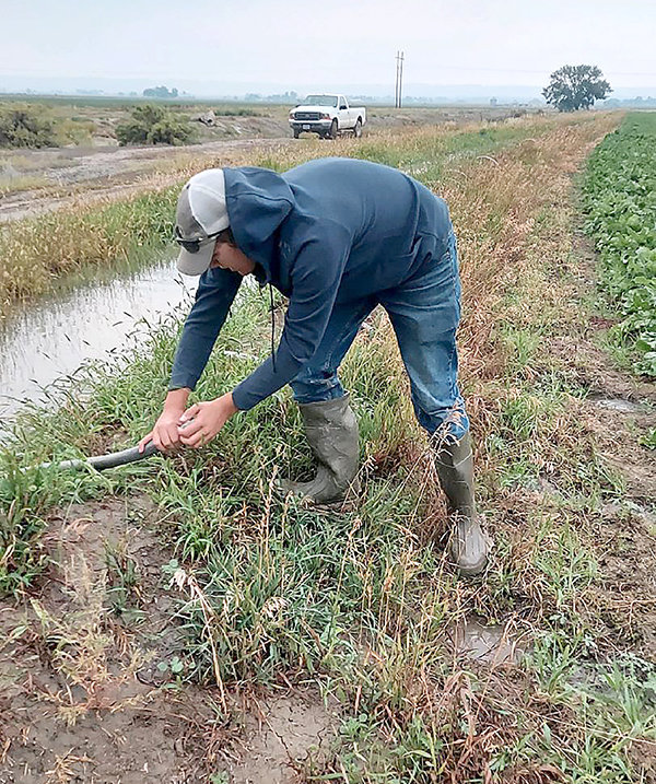Alexander Baker sets irrigation pipe on his family’s farm.