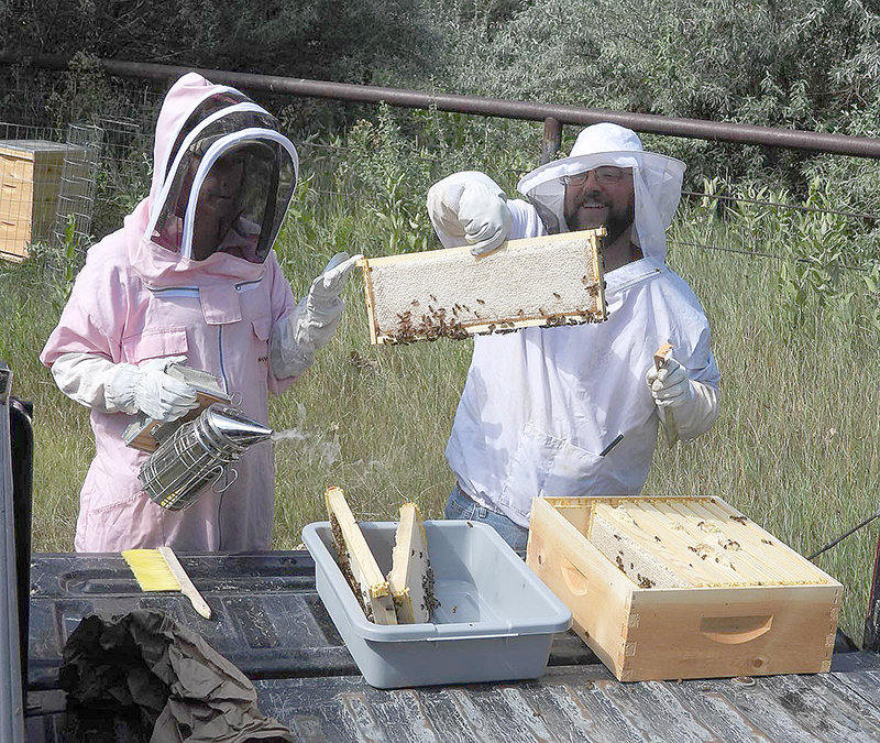 Kristi (left) and Zac Taylor remove frames filled with honey at one of their successful hives in Douglas, a week after gathering roughly 15 pounds of honey from their Powell hive.