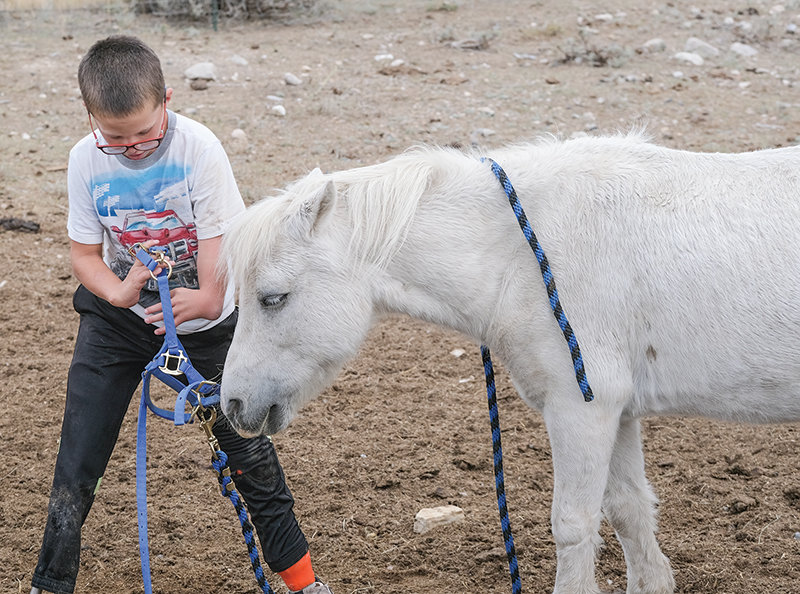 Nathanael Rhodes gets ready to ride Samson, who has been in the family since his mother Kateland was a child.
