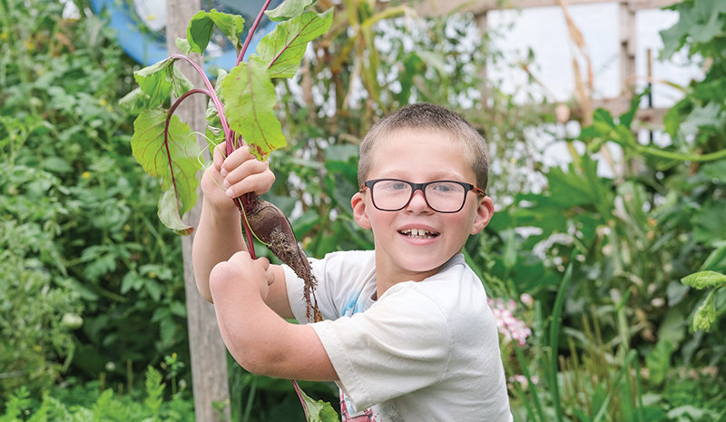 Nathanael Rhodes holds up a freshly picked beet in his family’s greenhouse; he picked one for dinner and two more for snacks, of course.