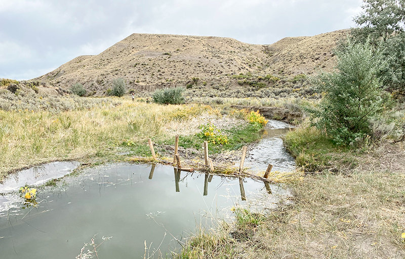 In an effort to reduce the amount of sediment flowing into the Lower Shoshone River, Willwood Working Group 3 has built beaver-like dams on creeks that flow into the river upstream. The aim is to avoid the issues that led to the 2016 Willwood Dam sediment flush.