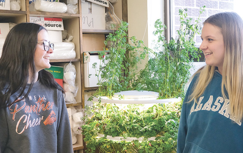 PHS senior Alexa Nardini (left) and junior Hadley Hincks talk about the herbs they harvest from the small grow tower in teacher Denise Laursen’s room. Nardini and Hincks use the herbs for their culinary arts projects. For the annual dinner theater Hincks served many of the herbs grown at the high school.