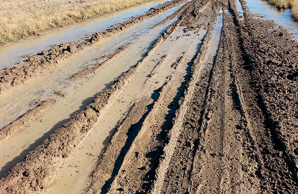 The Bureau of Land Management is urging those who use dirt roads on BLM land to avoid muddy roads as a way to protect the road and roadside vegetation.