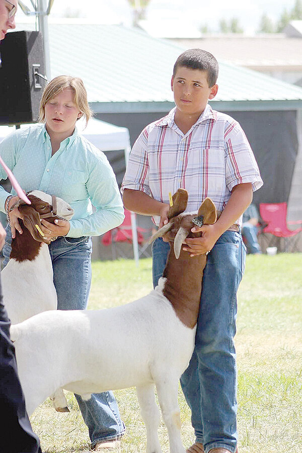 Jayce Lejeune, right, shows his goat at this year’s Park County Fair. Lejeune was this year’s 4-H meat goat intermediate grand champion for showmanship.