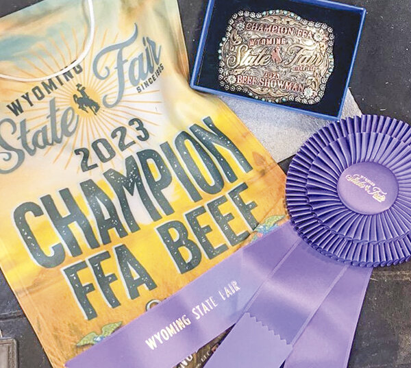 Hadley won the title of grand champion for the 2023 FFA beef category at this year’s state fair despite having to calm her heifer and being a rookie in the event.