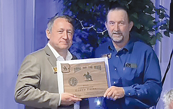 Bill Novotny, Wyoming County Commissioners Association president and Johnson County Commissioner, presents the Commissioner of the Year award to Lloyd Thiel of Clark.