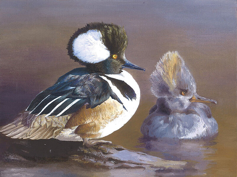 This year’s Best of Show Junior Duck Stamp of two hooded mergansers was painted by none other than Powell High School junior Sophia Petrie. For the past three years Petrie has placed at the state level; she last won Best of Show during the 2021-2022 school year.