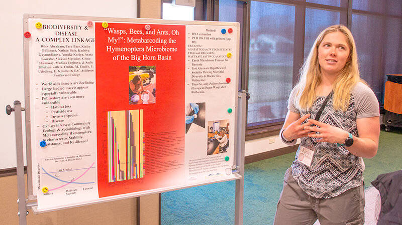 Northwest College student Kinley Bollinger presented three separate projects at the second annual Student Academic Showcase at NWC late in the spring semester. This year, 72 students, supported by their faculty mentors, presented research, creative work or innovation.