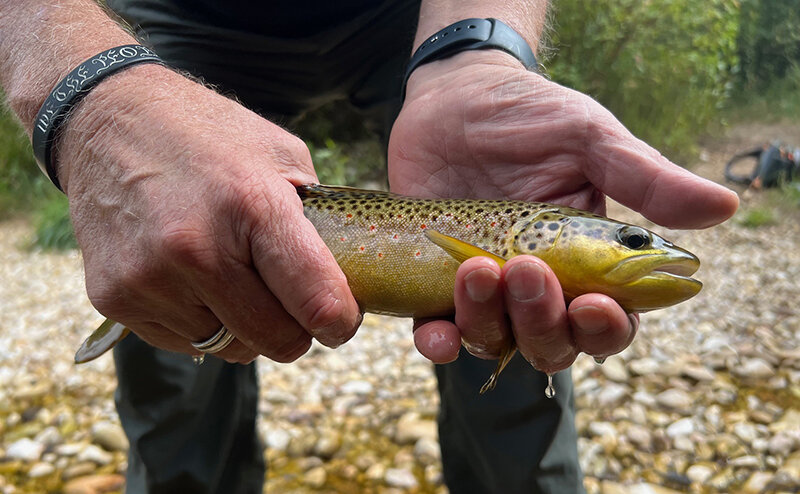State parks waive fees for Free Fishing Day Saturday