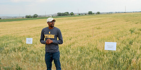 UW to showcase agricultural research at Powell Field Day