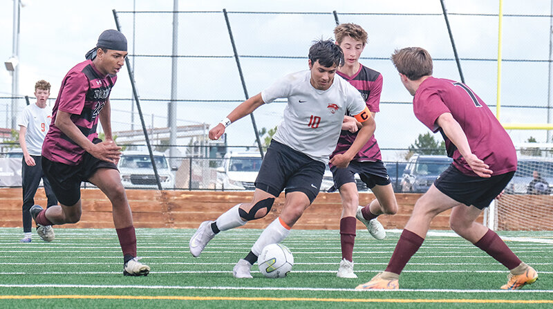 D'Alessandro earns an All-State nod