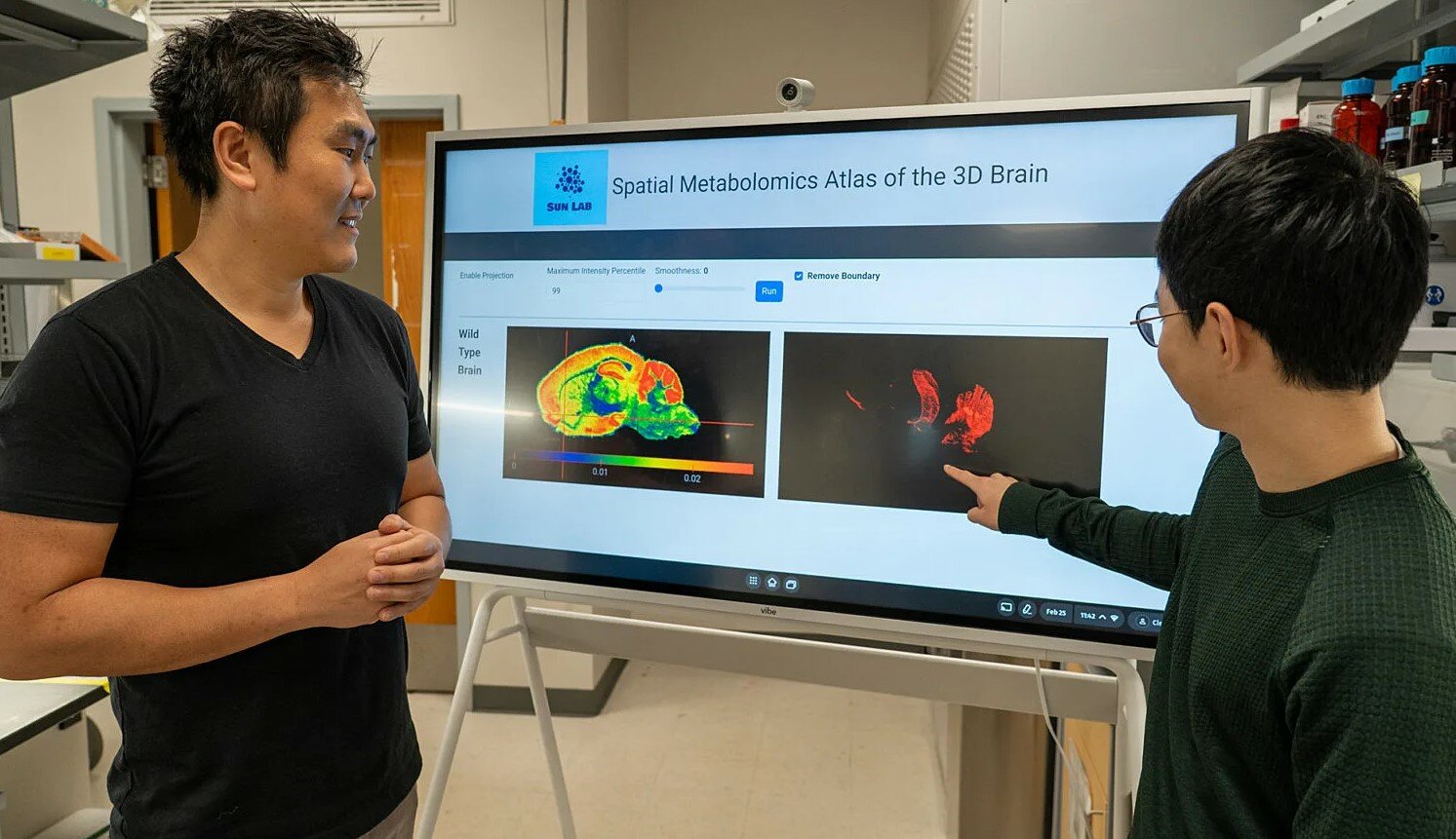Groundbreaking AI tool generates 3D map of the brain - The Ponte Vedra ...