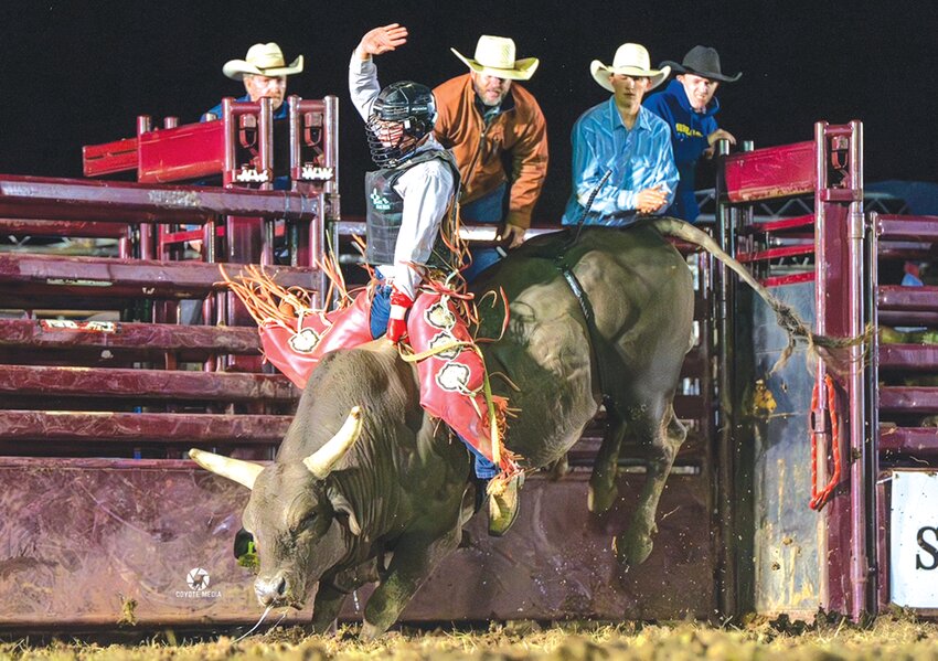 Bull Riding