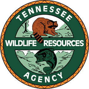 TWRA enacts response plan after diseased deer found in West Tennessee ...