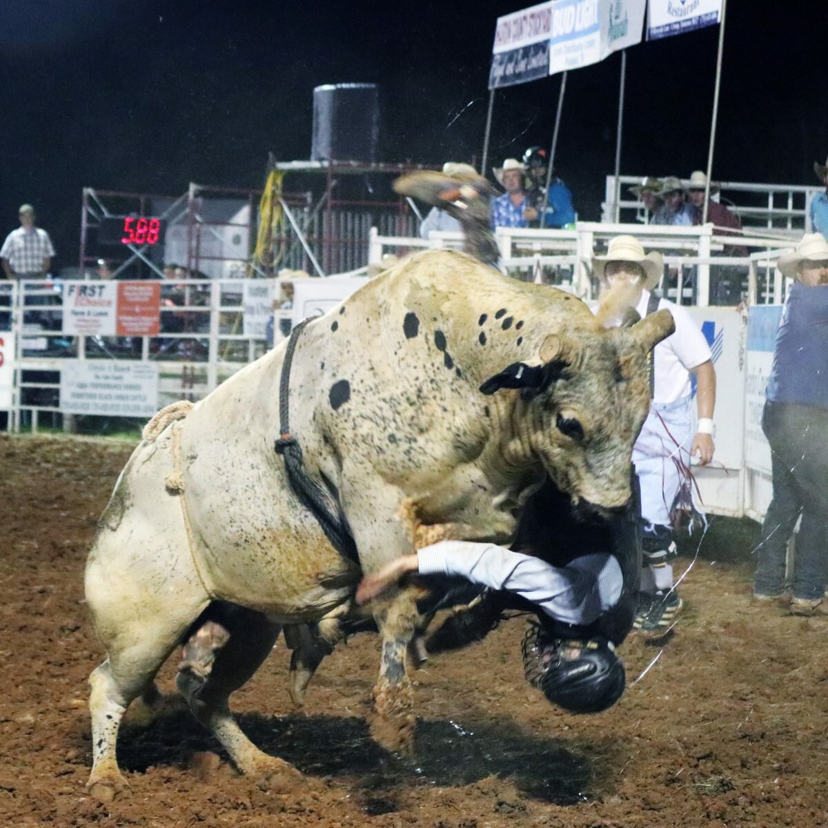 'Buckin' on the River' rodeo action returning to Savannah The Courier