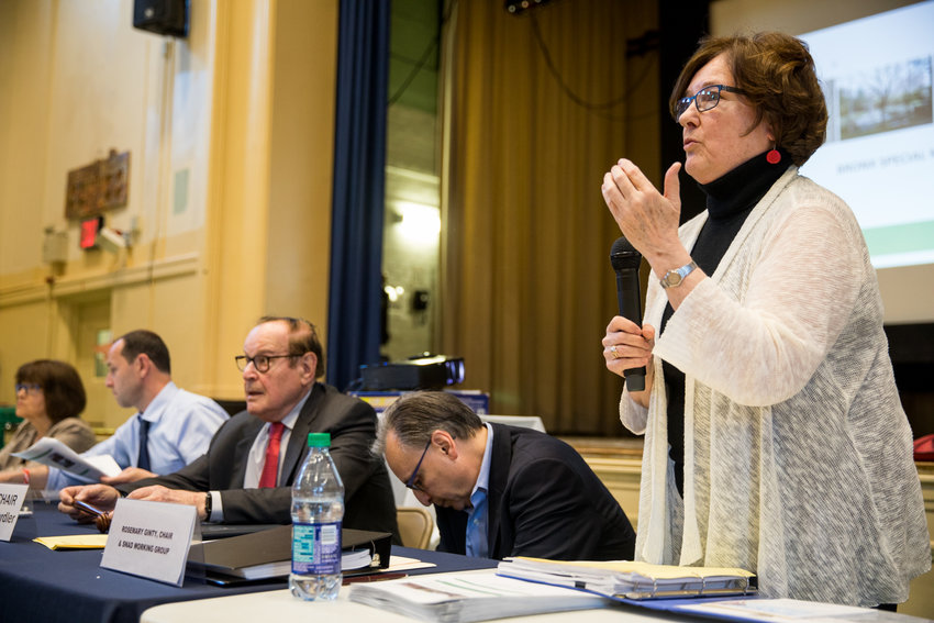 Community Board 8 chair Rosemary Ginty speaks at a land use committee meeting about the proposed changes to Special Natural Area District regulations at P.S. 81 last year. The race to fill Ginty&rsquo;s seat is heating up ahead of the election this summer.