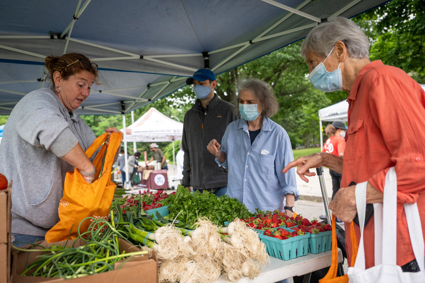 Bronxites buying produce at the Saturday farmers market outside of Clinton High School in Jerome Park.