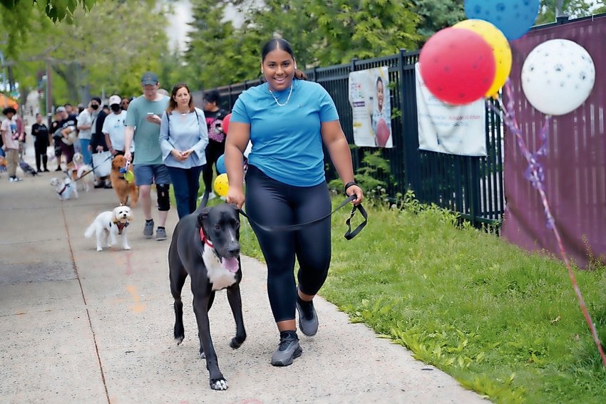 A dog parade was one of the many North Riverdale Block Party events. It attracted a wide variety of the furry, four-legged friends. The Riverdale Main Streets Alliance used the event as a way of reaching out to the community.