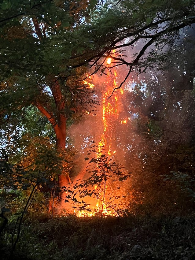 The fire in Riverdale Park off the trail near Palisade Avenue and West 233rd Street was put out quickly by the New York City fire department&rsquo;s house No. 52 Sunday night. Firefighters had to run eight hose lengths to douse it.