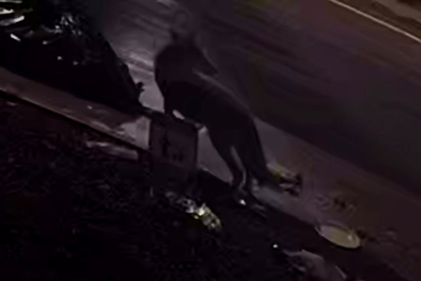 A coyote was caught on security camera eating food from trash laid out from building near Henry Hudson Park. That prompted one resident of the building to take action.