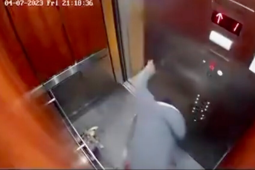 Trinton Hatton is shown beating one of his partner&rsquo;s dogs in an elevator at Riverdale Gardens recently in a CCTV video.