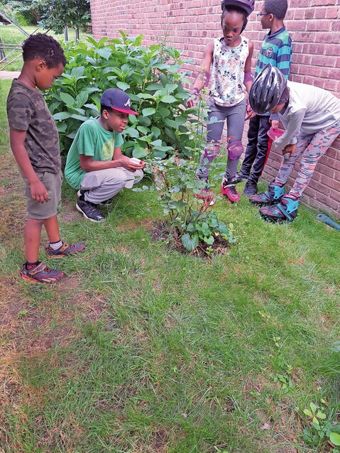 A local garden club decided it was a good idea to get some local children involved in helping to exterminate the spotted lantern flies who have infested many trees, plants and the outside of residents' homes.