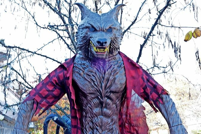 This &lsquo;wolf&rsquo; on Mosholu Avenue scared many a trick-or-treater on Halloween. It was one of many oversized autumnal decorations on greater Riverdale streets.