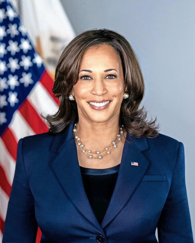 Vice President Kamala Harris has stepped in as the presumptive Democratic candidate for president. She will face former president Donald Trump at the ballot box Nov. 5.