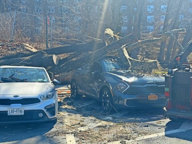 Removal crews were on site for over an hour clearing the sidewalk and lifting the tree off the wrecked Kia.