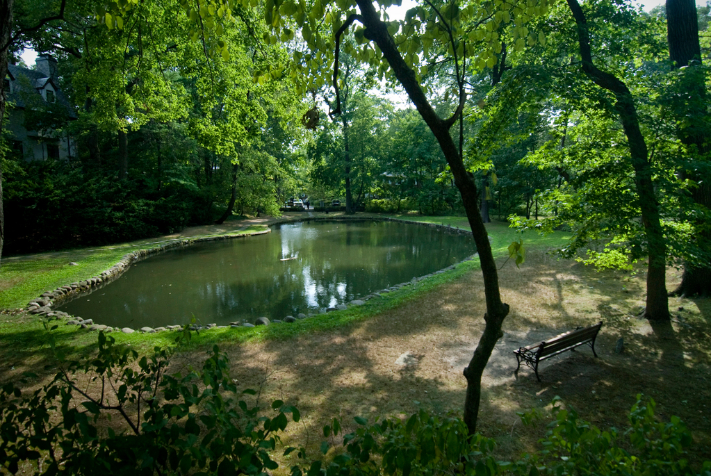 Indian Pond in the Fieldston Historic District earlier this year.