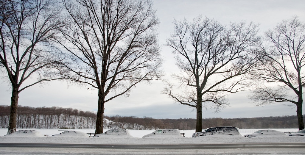 Cars parked along Van Cortlandt Park on Broadway are nearly obscured by a blanked of snow.