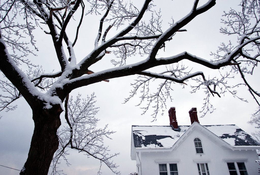 Snow blankets a tree and home on Independence Ave. near Blackstone Ave. on Jan. 7.