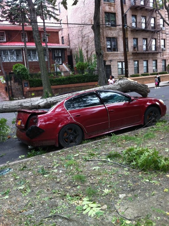 Saturday night's storm claimed this car, which remained parked near Sedgwick Avenue and Giles Place on Sunday afternoon.