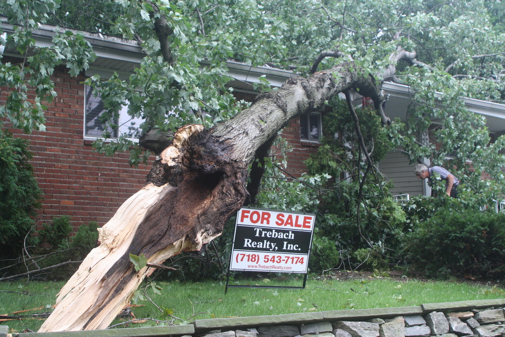 A tree smashed into a house on West 232nd Street by Independence Avenue.