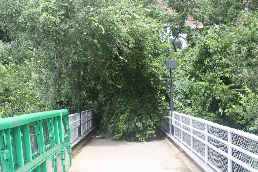 A tree down at the pedestrian bridge at the Spuyten Duyvil Metro-North Station on Sunday.