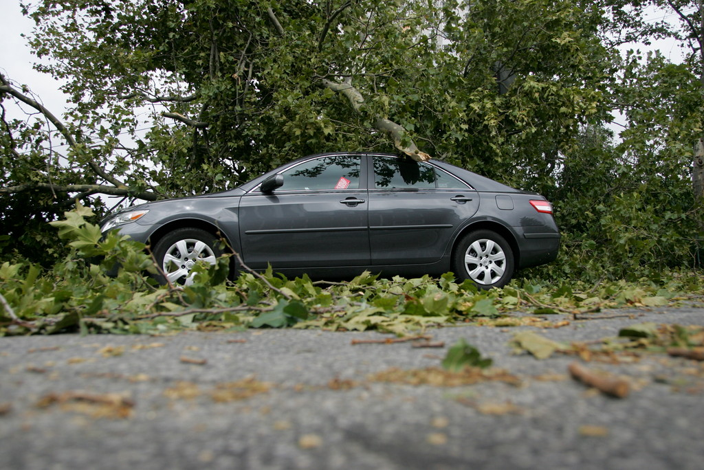 Branches and leaves cover a car on 232nd by seton park as a result of Hurricane Irene.