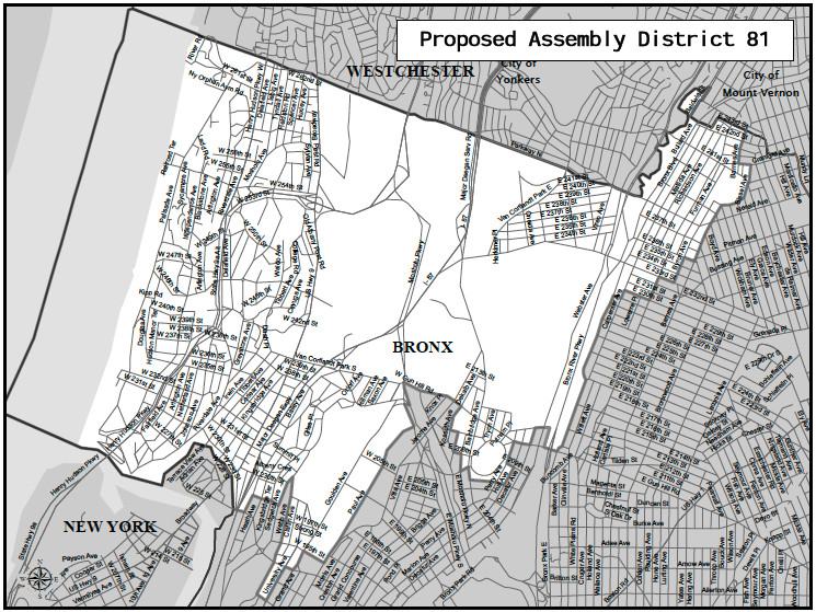 The New York Legislative Task Force's proposed map for Assembly District 81.