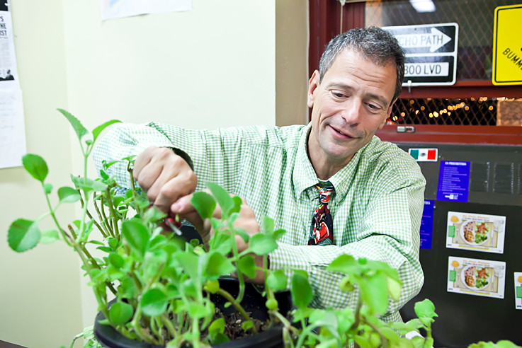 Stephen Ritz creator of the Green Bronx Machine, trims an Oregano plant in his Hunts Point school on Nov. 26.
