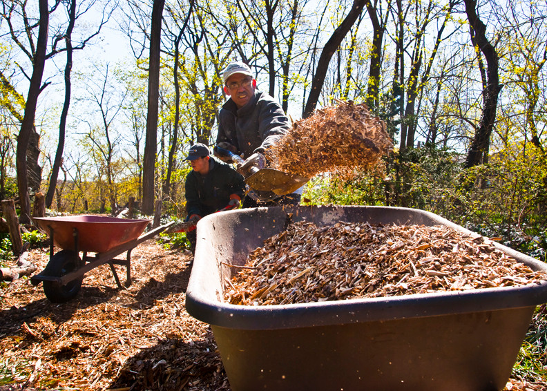 Father and son George Gabriel, foreground, and Elias Gabriel, 13, shovel mulch into a wheel barrow for a pathway.
