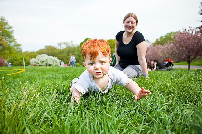 Jacob Chirch, 1, crawls away from his mother Susan Chirch, 35, as she keeps a watchful eye at the New York Botanical Gardens’ Daffodil Hill during a Mother’s Day Weekend Garden Party on Saturday.