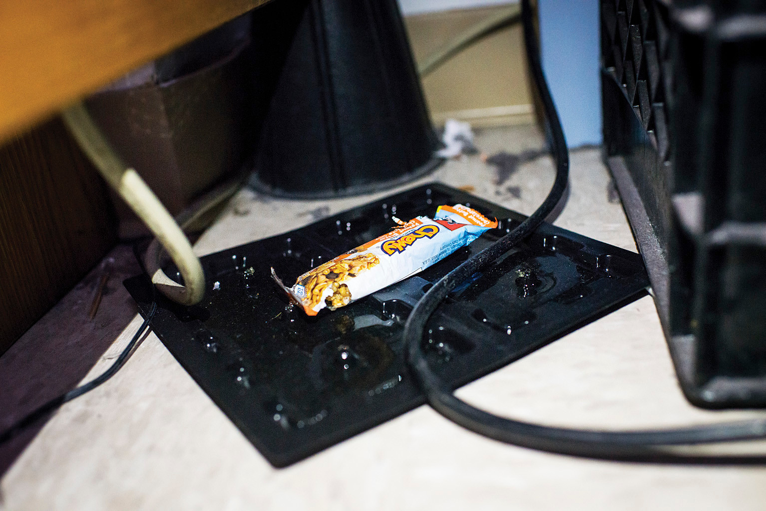 A mouse trap on the 10th floor of Horan Hall at Manhattan College, on March 11.