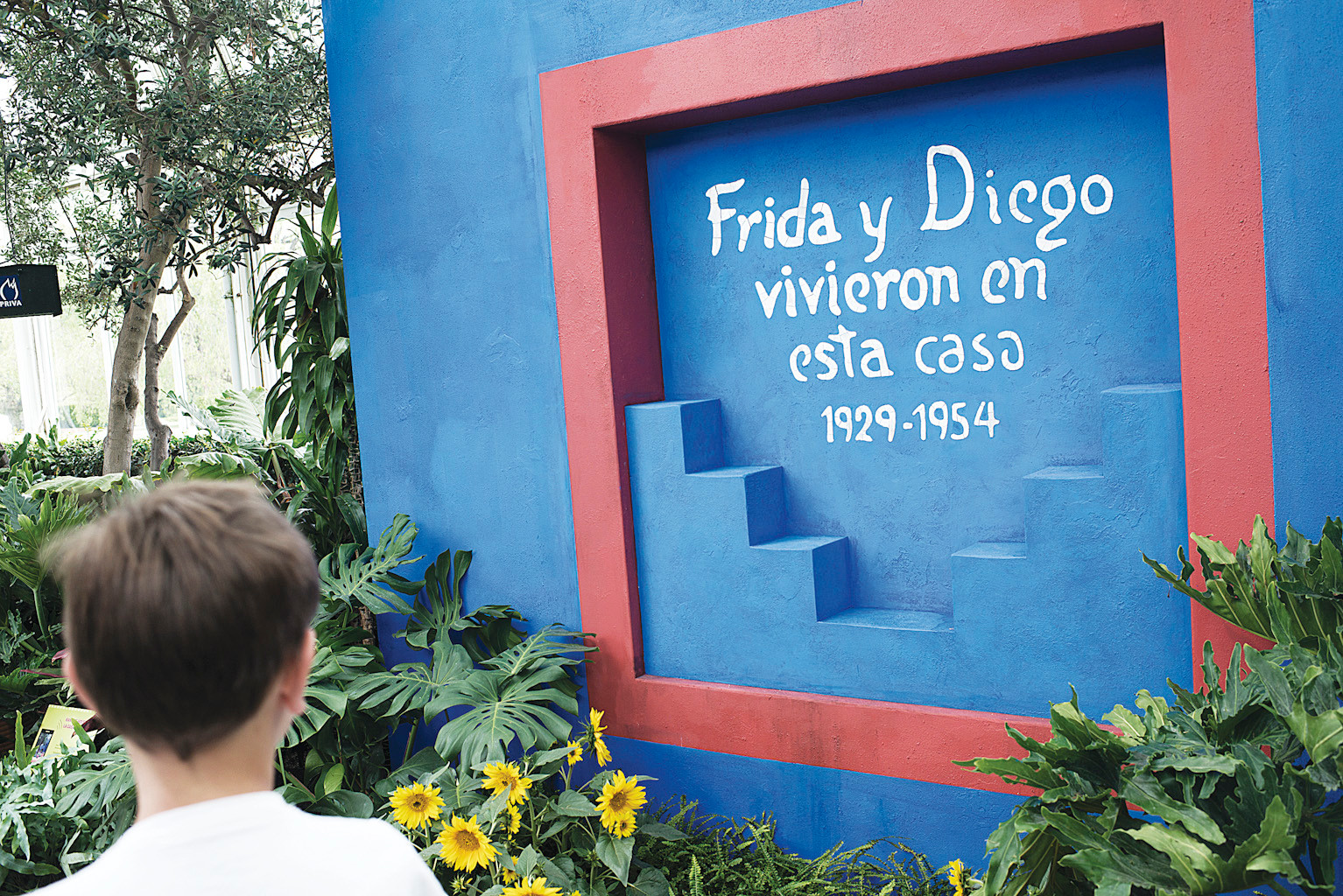 The home of Frida Kahlo and her husband Diego Rivera in Mexico City was known as 'Casa Azul.'