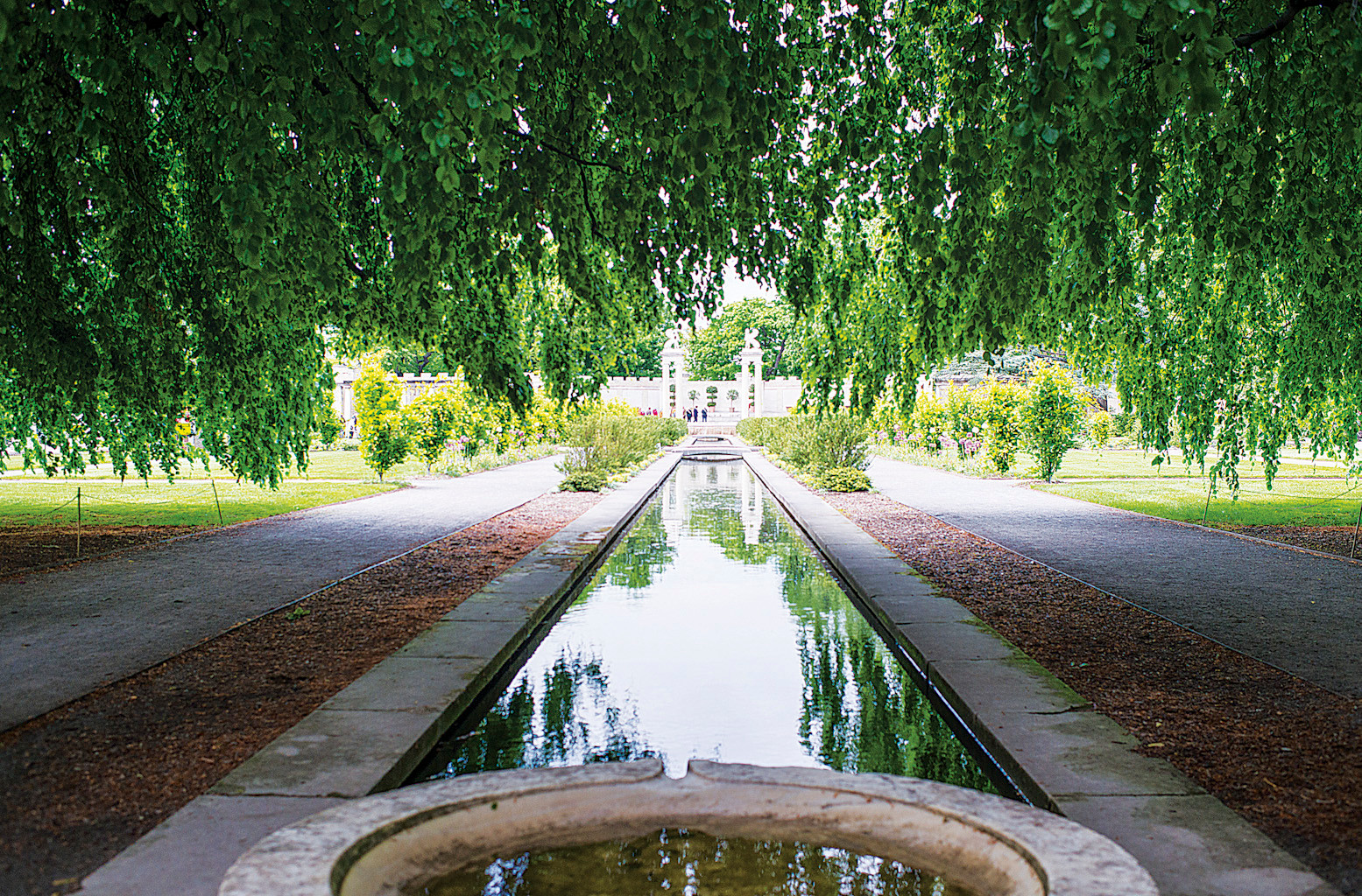 The entrance to the Walled Gardens is shrouded in weeping beech trees during a tour of the park on May 22.