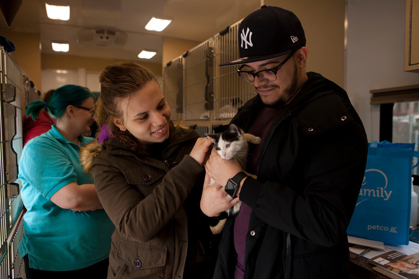 Isamar Pichardo and Miguel Martinez with an 11-week-old cat they adopted at a mobile pet adoption center in Riverdale on Sunday.