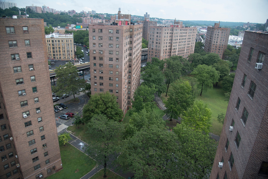 NYCHA says it's halting all evictions while the coronavirus continues.
