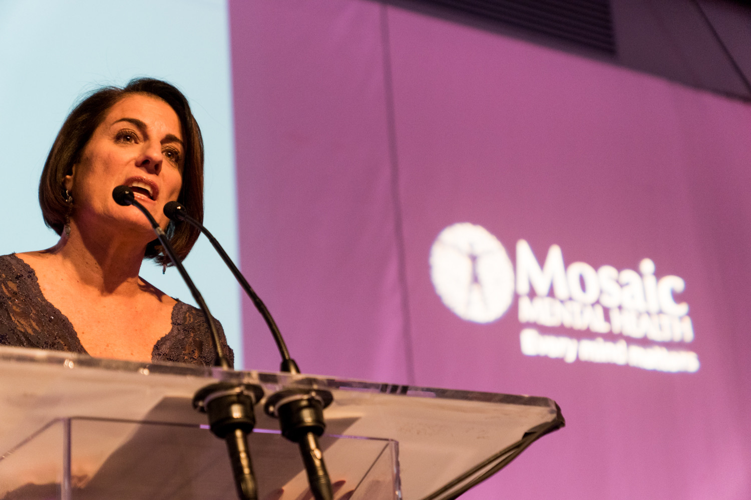 'We serve people from cradle to grave,' said Donna Demetri Friedman, the executive director of Mosaic Mental Health, at a gala celebrating the organization's rebranding. Some of its program includes on-site clinics, consultations at local public schools and vocational services.